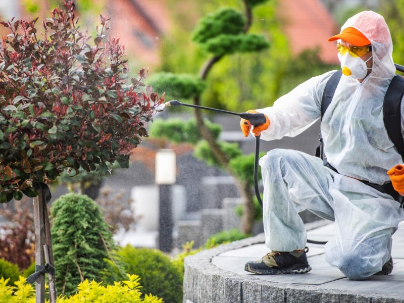 Taşkent Haşere İlaçlama